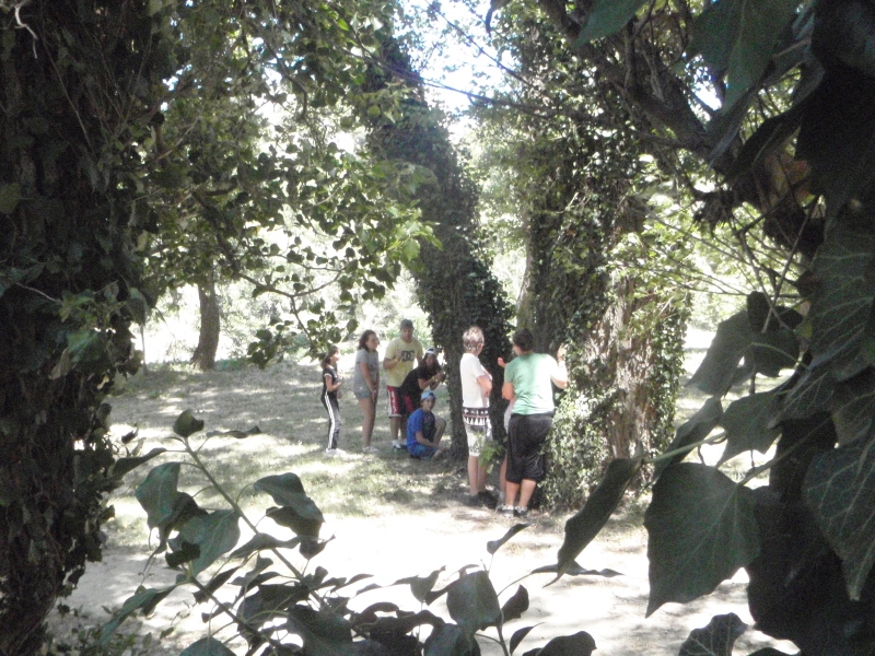 Village Camps International Summer Camp Ard&egrave;che, France 2019-07-26 https://www.villagecamps.com/journals_admin/images/72-23-Hiding in Camouflage.jpg